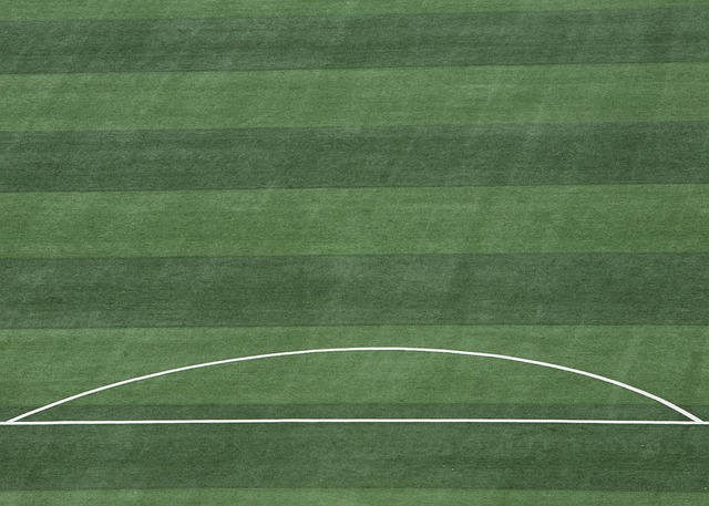 以来就以其 以来就以其