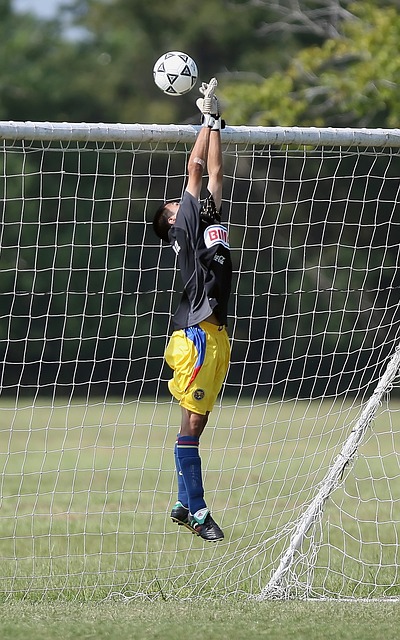 的推出让这 的推出让这