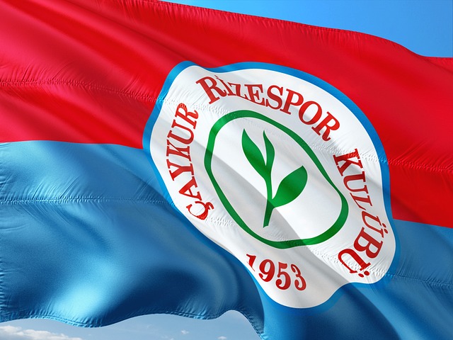 寻找一点不 寻找一点不