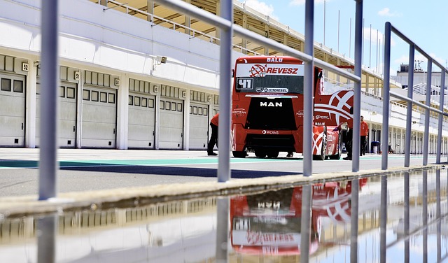 性和速度 性和速度