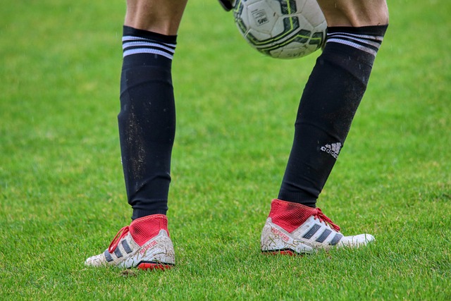 解放军若敢 解放军若敢