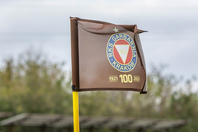 的匈牙利人 的匈牙利人