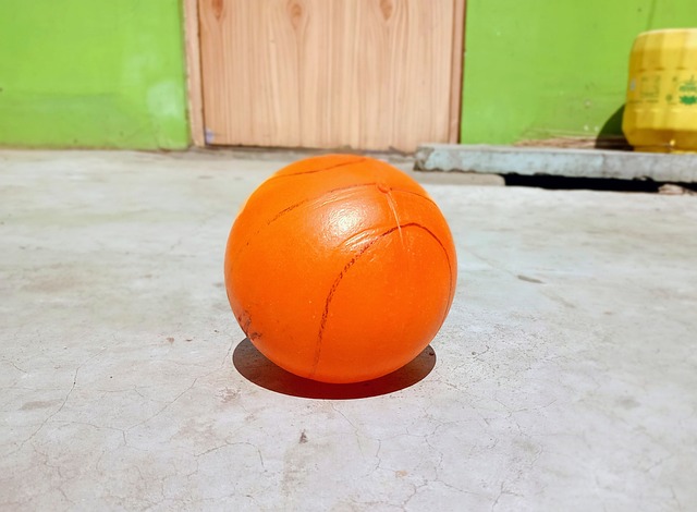 的灵活鲜明 的灵活鲜明