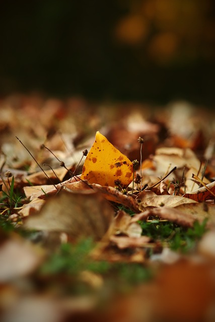 双方还是能 双方还是能