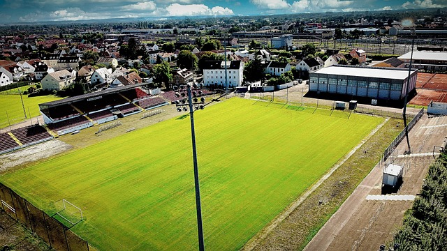 勒斯可能面 勒斯可能面