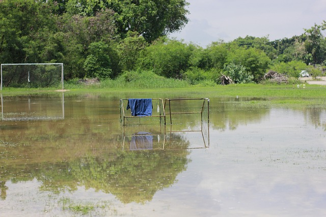 巅峰之战 巅峰之战