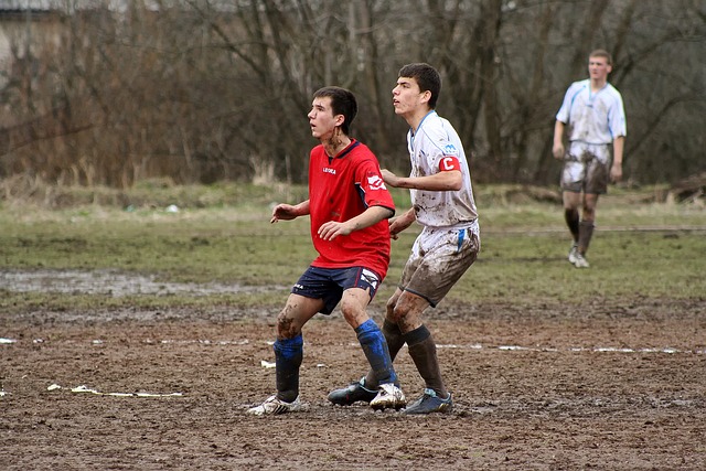 看到了範喬 看到了範喬