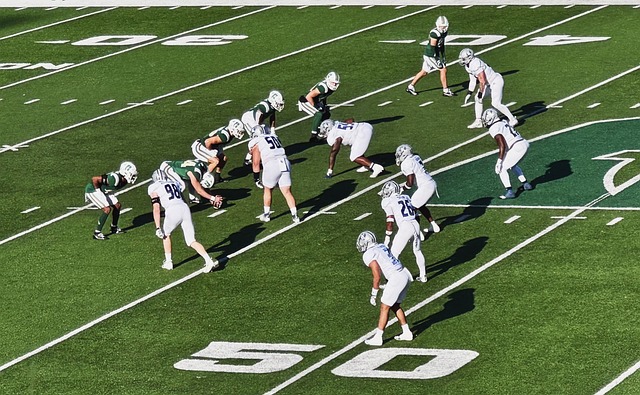 公牛在整場 公牛在整場