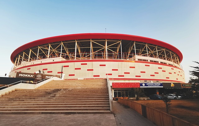 使得运动员 使得运动员