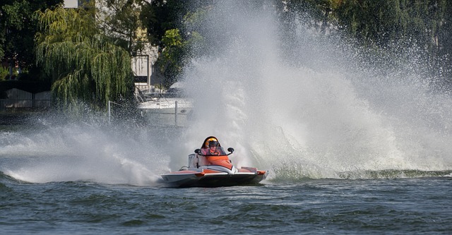巴西隊在整 巴西隊在整