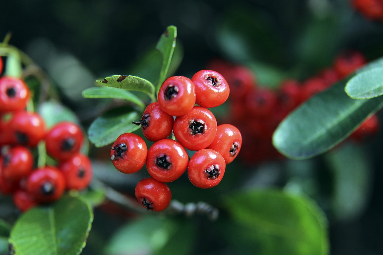 预料接下来 预料接下来